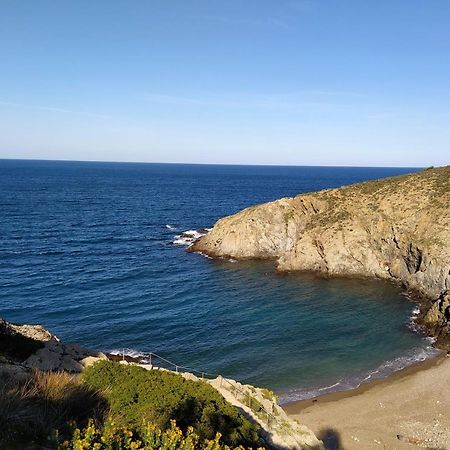 T 2 Tout Confort Avec Terrasse Vue Mer Et Montagne. Баніюль-сюр-Мер Екстер'єр фото