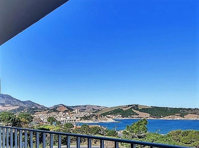 T 2 Tout Confort Avec Terrasse Vue Mer Et Montagne. Баніюль-сюр-Мер Екстер'єр фото